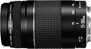 Canon EF 75-300mm f/4-5.6 III Telephoto Zoom Lens (Black)